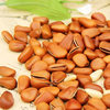 One Piece Drop Shipping Large Capsules Northeast Open Red Pine Nuts with Can 500g Casual Snacks Nuts Specialty Roasted Seeds and Nuts Wholesale