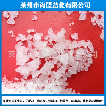 Industrial Grade Granular Salt Raw Salt Snow Melting Agent Crushed Small White Salt Industrial Salt Snow Melting Salt Large Quantity and High Quality Manufacturer Wholesale