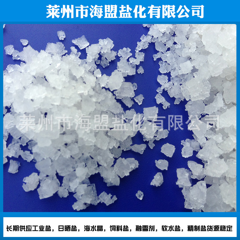 Sea Salt for Aquaculture, Water Treatment, Industrial Granulated Salt, Snow Melting Salt, High Quality, Bulk Wholesale Industrial Salt for Water Softening