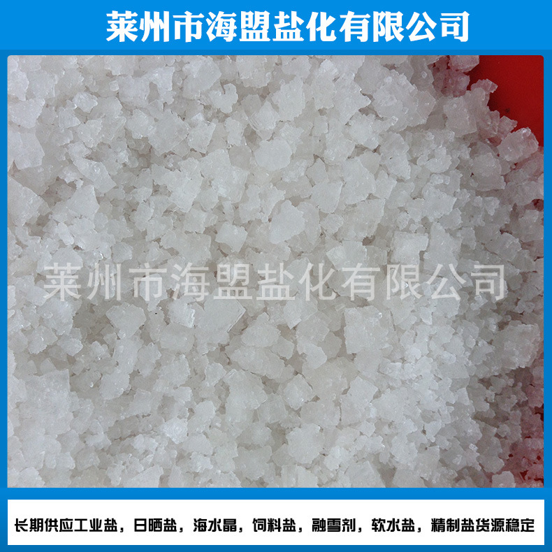 Sea Salt for Aquaculture, Water Treatment, Industrial Granulated Salt, Snow Melting Salt, High Quality, Bulk Wholesale Industrial Salt for Water Softening