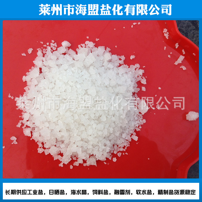 Sea Salt for Aquaculture, Water Treatment, Industrial Granulated Salt, Snow Melting Salt, High Quality, Bulk Wholesale Industrial Salt for Water Softening
