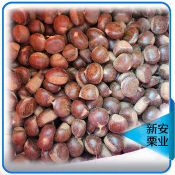 Running rivers and lakes Chestnut Ben Xiaoli big chestnut oil chestnut stall goods large wholesale chestnut kernel chestnut powder