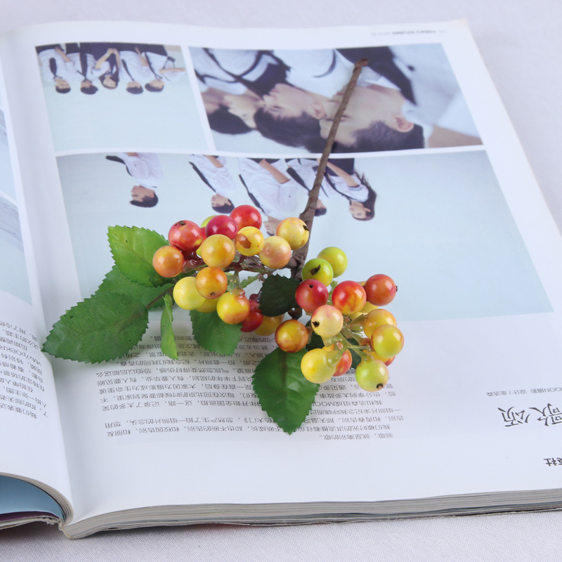 仿真蓝莓果 单支澳洲浆果4色家具装饰果浆 餐桌果盘装饰假花果子