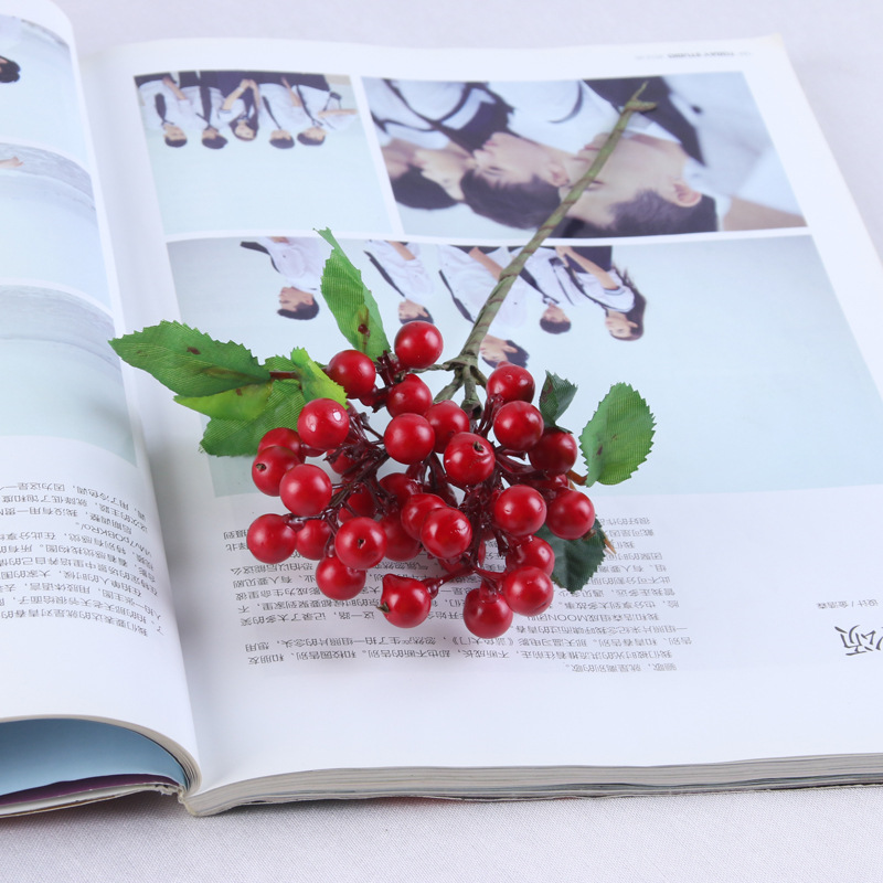 仿真蓝莓果 单支澳洲浆果4色家具装饰果浆 餐桌果盘装饰假花果子