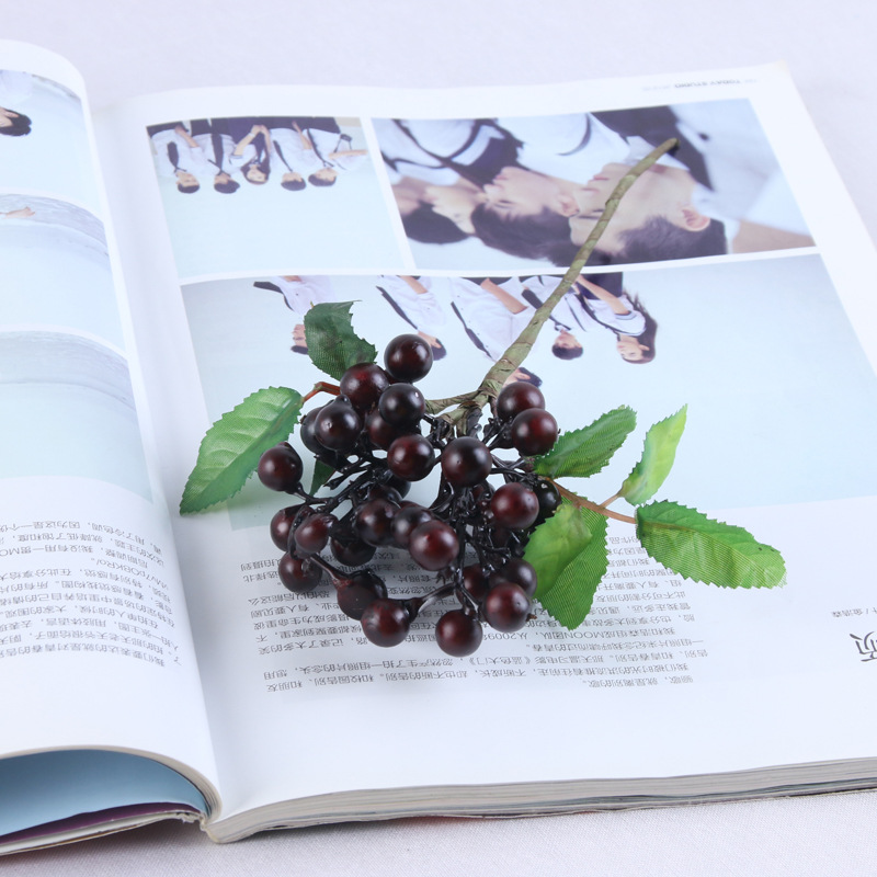 仿真蓝莓果 单支澳洲浆果4色家具装饰果浆 餐桌果盘装饰假花果子