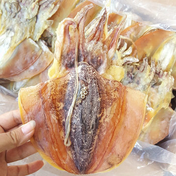Guangxi Northern Sea Dried Cuttlefish Wholesale Cuttlefish Dry Goods Light Sun-Dried Origin Direct Sales Seafood Products