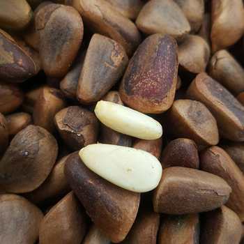 New Original flavor northeast Yichun wild open red pine nuts casual snacks hand-peeled new fried crispy fried