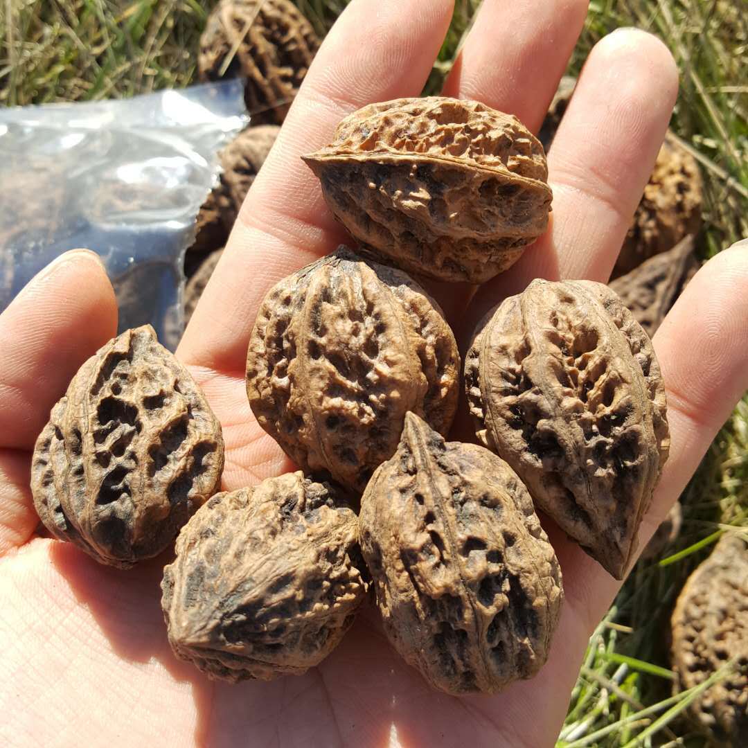 Yichun walnut small Xing'an Ridge walnut Wenwan walnut raw walnut thick peel walnut 500g free shipping