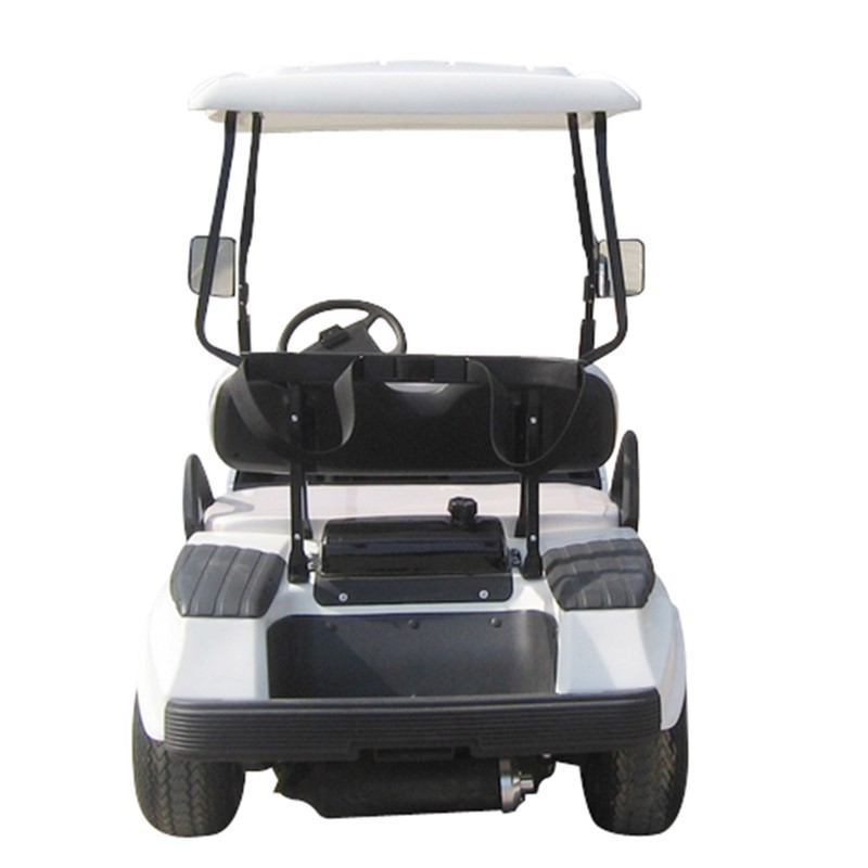 Electric four-wheel vehicle four-wheel fuel sightseeing car electric golf cart four-wheel 2-seat patrol car watching RV