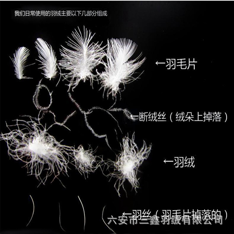 Down Manufacturer Wholesale Washed 2-4cm White Goose down Feather Sofa Feather Velvet Textile Product Filling Material