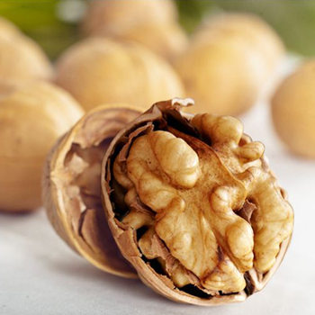 Dropshipping Walnut Xinjiang Paper-Skinned 185 Walnut Original Dried Fruit Food Wholesale Thin-Skinned Walnut