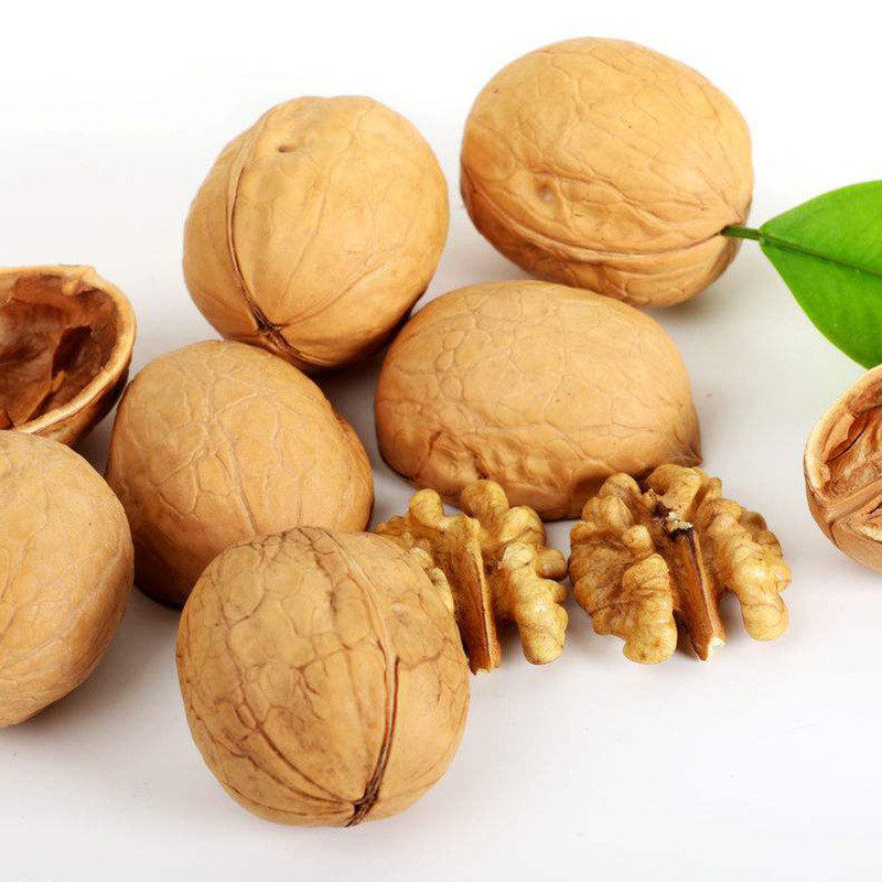Xinjiang thin-skinned walnut 5kg original raw walnut nuts Xinjiang specialty Aksu walnut Xinjiang paper-skinned walnut