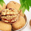 Xinjiang thin-skinned walnut 5kg original raw walnut nuts Xinjiang specialty Aksu walnut Xinjiang paper-skinned walnut