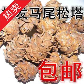 Daxinganling wild original flavor pine shell raw horsetail pine Tower Yansong Tower raw pine seeds small tower dried nuts mouse food snacks