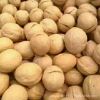Wholesale Xinjiang Aksu 185 Paper-Skinned Walnuts, Original Flavor Raw Walnuts, Bulk, Carefully Selected, New Crop of 2025