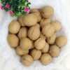 Wholesale Xinjiang Aksu 185 Paper-Skinned Walnuts, Original Flavor Raw Walnuts, Bulk, Carefully Selected, New Crop of 2025