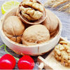 Wholesale Xinjiang Aksu 185 Paper-Skinned Walnuts, Original Flavor Raw Walnuts, Bulk, Carefully Selected, New Crop of 2025