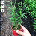 seller product image
