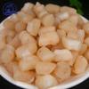 Dried scallops scallops and scallops 250g non-light dried seafood and aquatic products wholesale