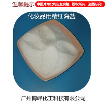 Factory Price Direct Sales High-Quality Fine Sea Salt 40-60 Even White Impurity-Free Granular Salt Cosmetic Grade Sodium Chloride