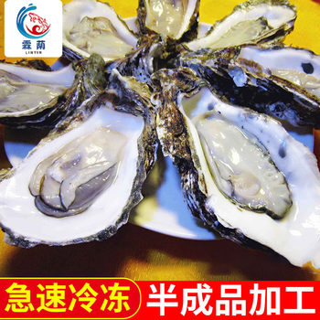 Seafood One-Stop Seafood Aquatic Products Catering Hotel Barbecue Half-Shell Oysters Fresh Oysters 120 Pieces