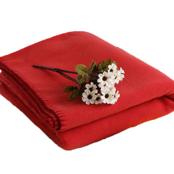 Factory direct supply double-sided velvet blanket Foreign Trade double-sided velvet polar fleece plain color blanket can add pattern LOGO