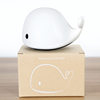 USB rechargeable silicone lamp cartoon colorful little whale Pat Light dolphin color changing colorful atmosphere night light