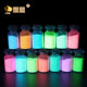 Manufacturer Wholesale Luminous Powder Fluorescent Powder DIY Fishing Gear Luminous Powder Manicure Injection Molded Color Powder 10g