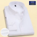 G2659 White hidden stripes