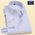 G2672 blue stripe