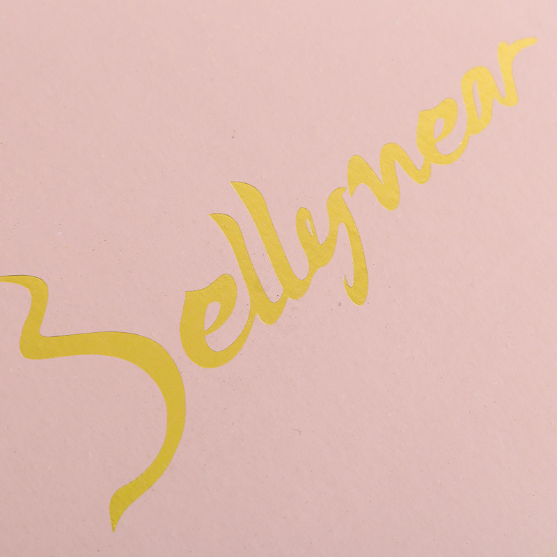 Customized Logo Colorful Printing Hot Stamping Logistics Clothing Packaging Box Customized Double-Sided Colorful Extra Hard Corrugated Packaging Airplane Box