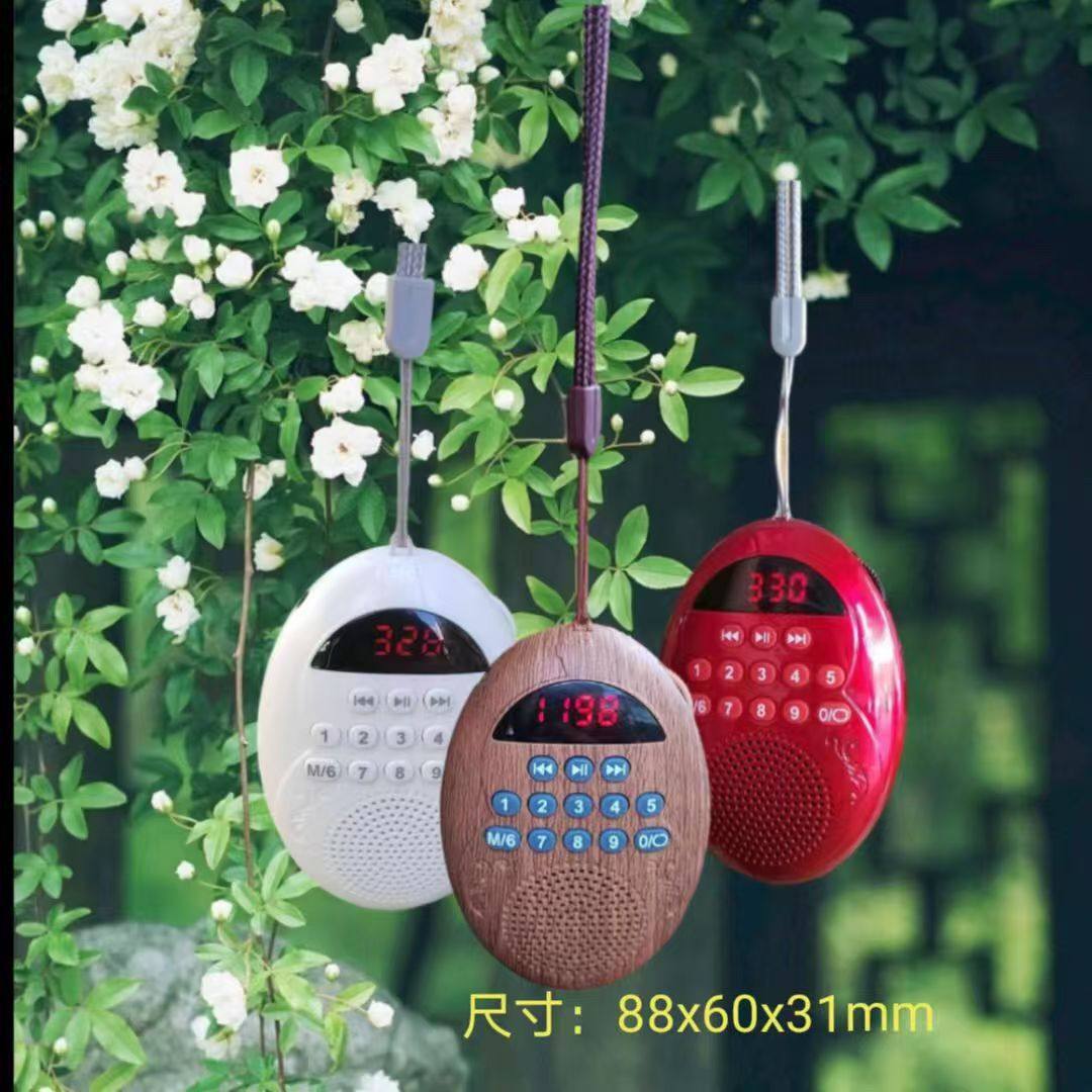 Expanded L-65 new gourd card audio radio portable Bluetooth speaker pendant digital player