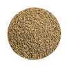 Dill Seed Spice Seasoning Collection for Sausage, Seafood, and Curry