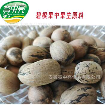 [Geng Raw Materials] Pecan Medium Fruit Raw Materials Raw Nuts Fresh Pecan Raw Materials Wholesale Black Dots