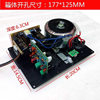 Subwoofer Home Amplifier 220V Active Subwoofer Subwoofer Amplifier Board Pure Bass Home Theater Subwoofer Amplifier