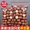 New Arrival Macadamia Nuts 0.5kg Creamy Flavor Holiday Nuts Large Nuts Snacks Bulk by the Pound Whole Box Wholesale