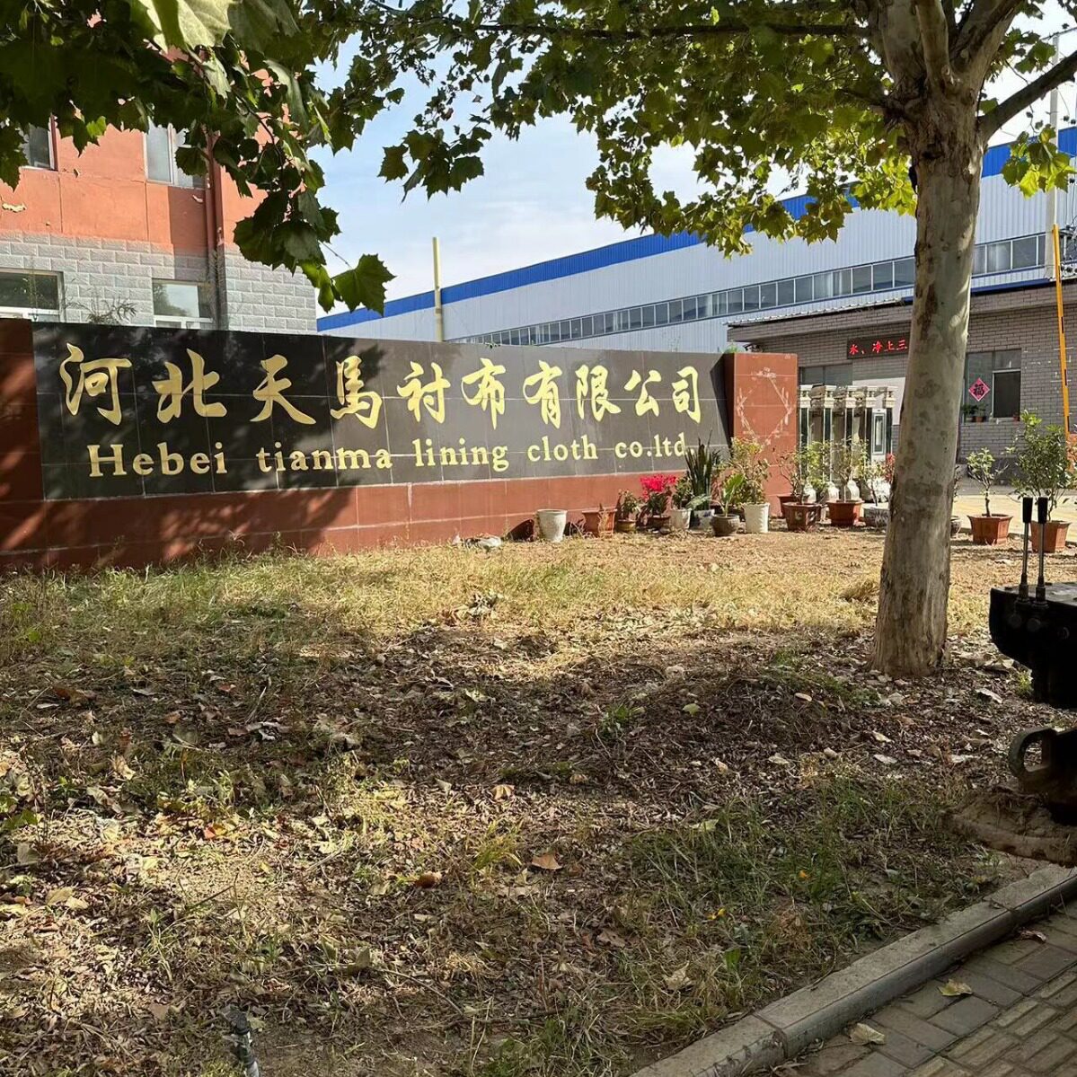 Spot Supply Hebei Tianma Interlining 50D Interlining Clothing Accessories Cloth Lining ADhesive Lining