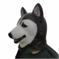 Husky