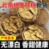 Yunnan Walnut New Arrival Paper Thin Shell Unbleached Paper Dry Pecan Paper Shell Wholesale Delivery