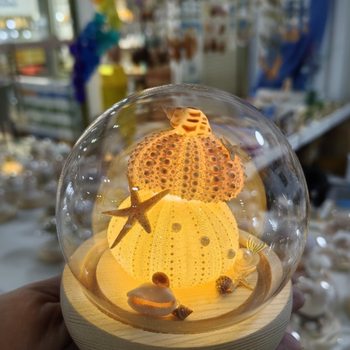 Dalian Sea Urchin Lamp Finished Product, Special Souvenir, Handmade Shell, Conch and Sea Urchin Shell Material Package, Wholesale