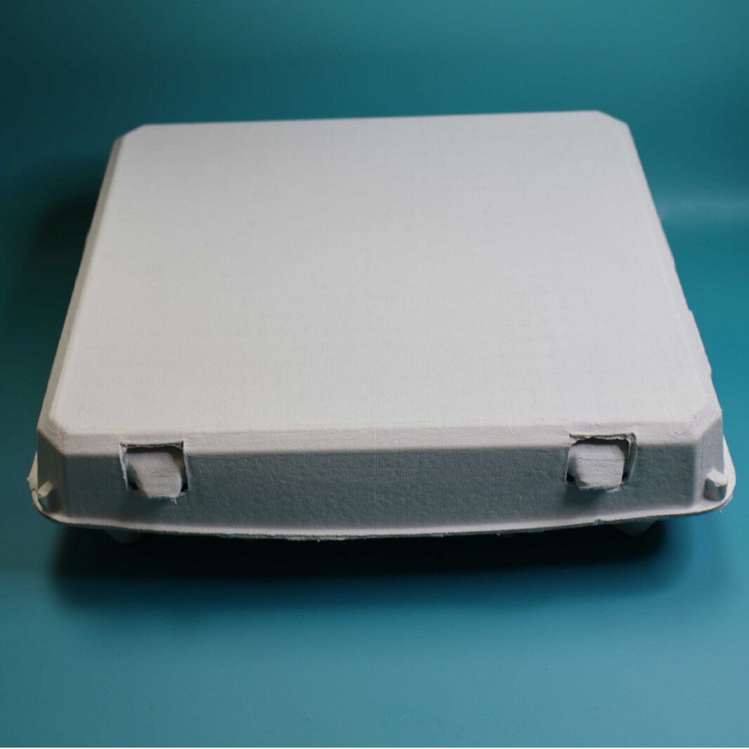 Factory supply 20 pieces pulp egg tray disposable degradable egg box egg tray pulp molding