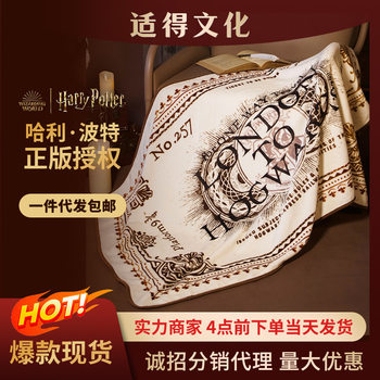 Me Warner Officially Licensed Harry Potter Merchandise 9¾ Platform Ticket Blanket Throw Blanket Multi-Use Sofa Blanket