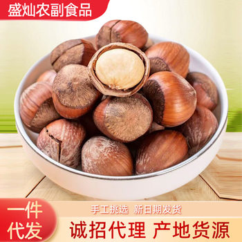 New Northeastern Hazelnuts, Original Thin-Shell Roasted Hazelnut Nut Snacks, Large Capsules, Wild Hazelnuts, Can Be Shipped on Behalf of Others