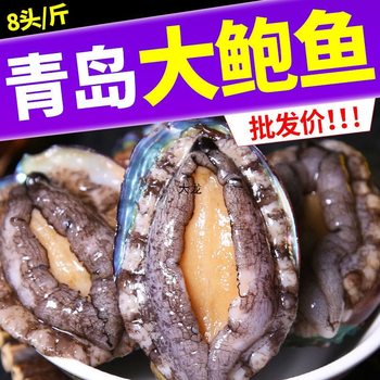 [Large Size] Fresh and Large Abalone, Freshly Frozen, Large Fresh Sea-Caught Non-Abalone Live Body