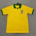 1920 brazil home