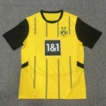 24-25 Dortmund home court