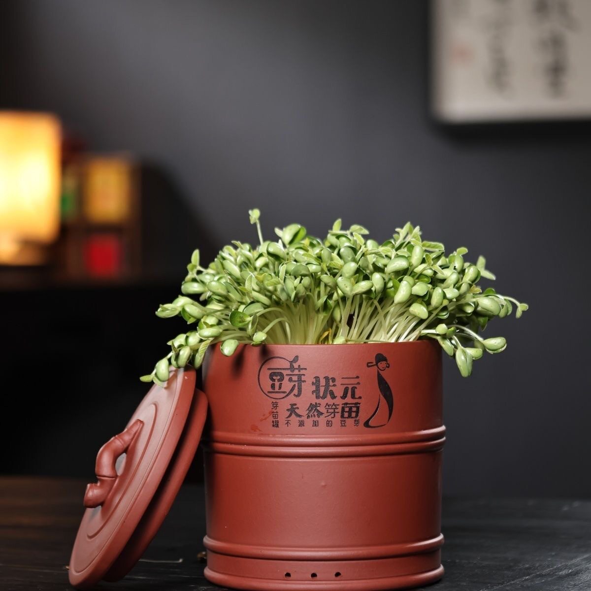 Zisha raw bean sprouts machine household bean sprouts artifact bean sprouts tank bucket container raw green yellow bean sprouts peanut sprouts germination basin