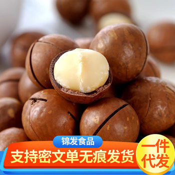 Macadamia Nuts with Creamy Flavor, Medium-Sized Nuts with Open Shells, Walnut Snacks, Gift, 20-22 Nuts