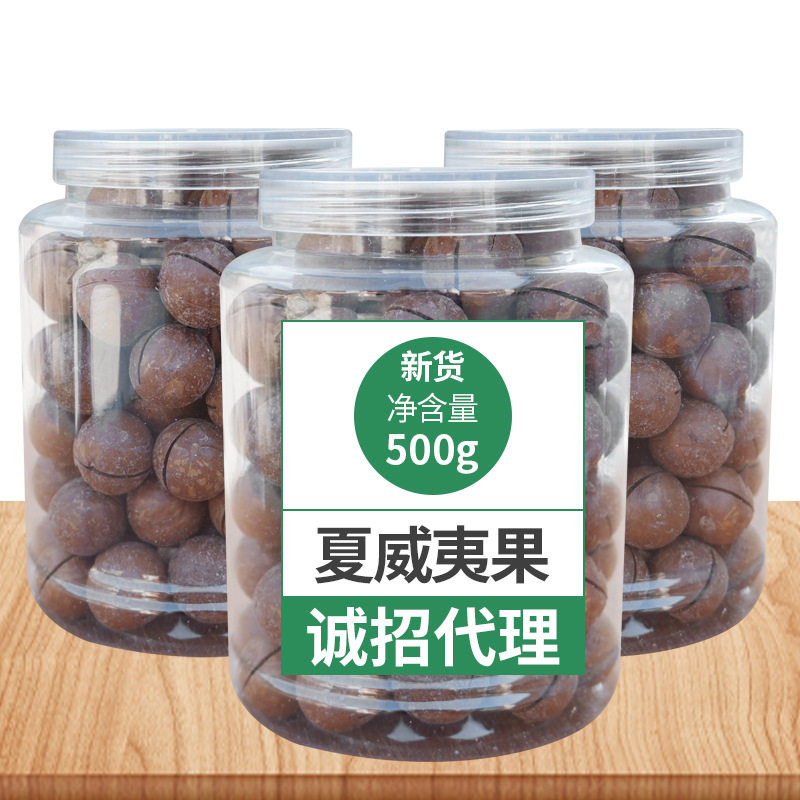 Net weight 500g mountain walnut kernel macadamia pine nuts Bigen pistachio almond Torreya canned wholesale
