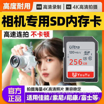 Cross-Border Direct Sales Sd Card Camera Memory Card Sd Large Card 64g 128g Monitoring U3 High-Speed Video Recording 256g Memory Card